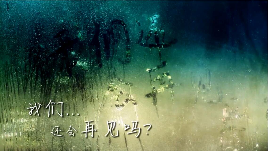 &#20061;&#28216;&#23448;&#26041;&#31449;&#32593;&#39029;&#29256;&#45;&#20061;&#28216;&#40;&#20013;&#22269;&#41;